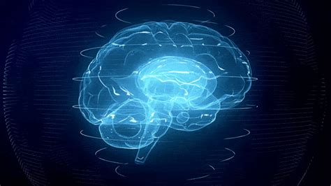 brain waves gif|brain activation gif.